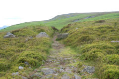 
Blorenge Tramroad towards the quarry, October 2010